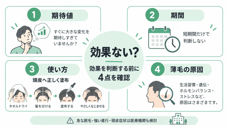 育毛効果を判断する前に確認したい期待値、期間、使い方、薄毛の原因の4つのポイントを示した図
