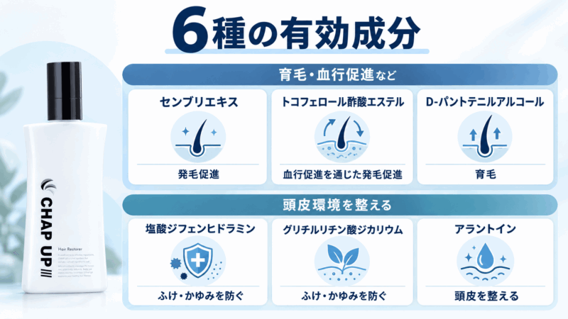 チャップアップの6種の有効成分と、育毛・血行促進や頭皮環境を整える主な役割を一覧化した図
