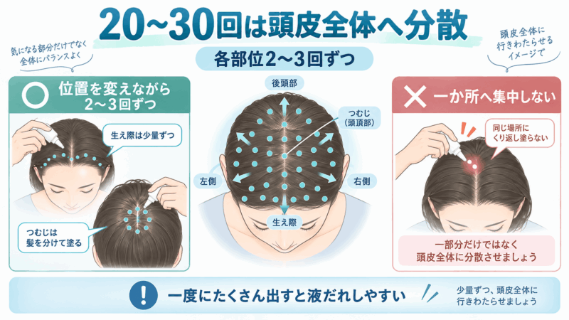 モアグロースアップを20〜30回の目安で頭皮全体へ分散して塗る方法を示した図